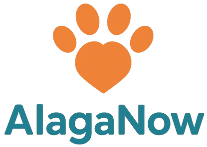 AlagaNow